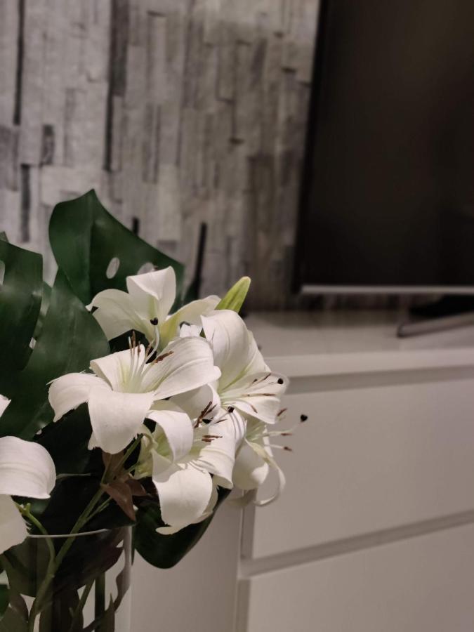 Arena Apartment - Own Sauna, In The Heart Of Tampere Near To Nokia Arena Exterior foto